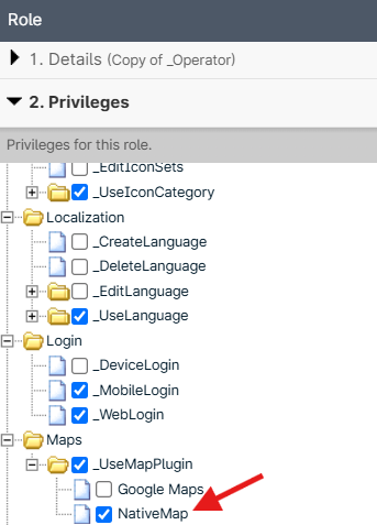 Role privileges settings interface