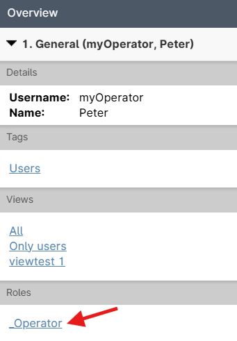 User profile overview with roles and views.