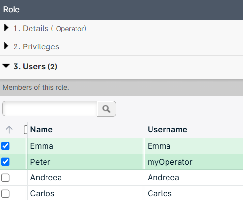 User role management interface